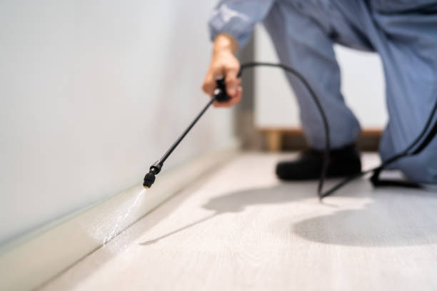 Licensed Cockroach Control service in Newcastle, OK - Nex Pest Control