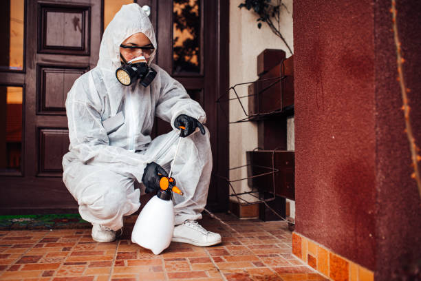 Reliable Cockroach Control contractor in Newcastle, OK by Nex Pest Control