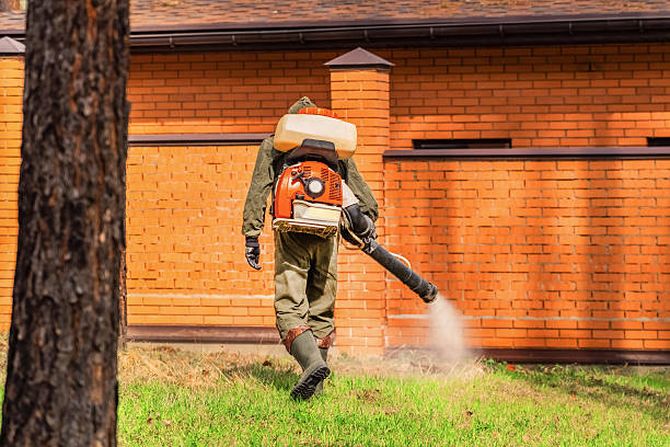 Top rated local Cockroach Control specialists in Newcastle, OK